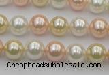 CSB320 15.5 inches 10mm round mixed color shell pearl beads