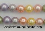 CSB330 15.5 inches 10mm round mixed color shell pearl beads