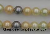CSB333 15.5 inches 10mm round mixed color shell pearl beads