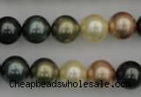 CSB361 15.5 inches 12mm round mixed color shell pearl beads