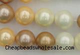 CSB371 15.5 inches 14mm round mixed color shell pearl beads