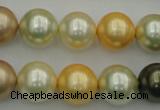 CSB374 15.5 inches 14mm round mixed color shell pearl beads