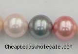 CSB391 15.5 inches 16mm round mixed color shell pearl beads