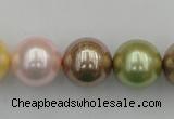 CSB393 15.5 inches 16mm round mixed color shell pearl beads