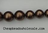 CSB402 15.5 inches 8mm - 16mm round shell pearl beads