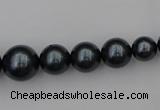 CSB405 15.5 inches 8mm - 16mm round shell pearl beads