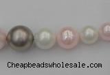 CSB406 15.5 inches 8mm - 16mm round mixed color shell pearl beads