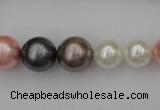 CSB408 15.5 inches 8mm - 16mm round mixed color shell pearl beads