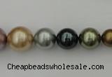CSB409 15.5 inches 8mm - 16mm round mixed color shell pearl beads