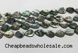CSB4137 15.5 inches 12*16mm flat teardrop abalone shell beads