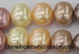 CSB715 15.5 inches 16*19mm oval mixed color shell pearl beads