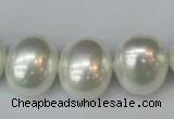 CSB825 15.5 inches 16*19mm oval shell pearl beads wholesale