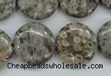 CSF01 15.5 inches 20mm flat round shell fossil jasper beads
