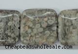 CSF07 15.5 inches 25*25mm square shell fossil jasper beads