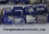 CTB715 15.5 inches 6*8mm tube white lace sodalite beads wholesale