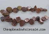 CTD788 Top drilled 15*20mm - 25*35mm freeform plated agate beads