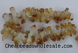CTD840 Top drilled 10*20mm - 15*30mm nuggets citrine gemstone beads