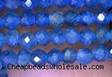 CTG1195 15.5 inches 3mm faceted round tiny apatite gemstone beads