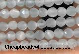 CTG2145 15 inches 2mm,3mm faceted round aquamarine gemstone beads