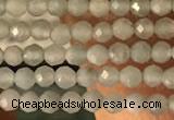 CTG2155 15 inches 2mm,3mm faceted round amazonite gemstone beads
