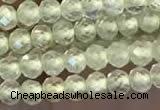 CTG2246 15 inches 2mm faceted round natural prehnite beads