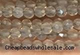 CTG2255 15 inches 2mm faceted round grey agate beads