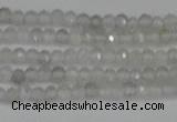 CTG612 15.5 inches 2mm faceted round labradorite beads