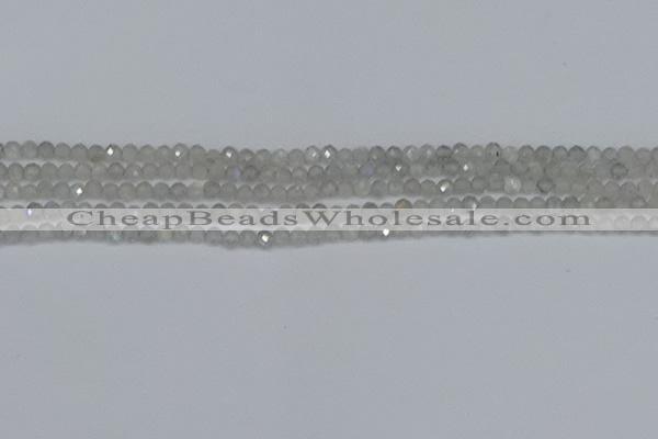 CTG613 15.5 inches 3mm faceted round labradorite beads