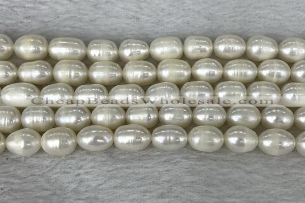 FWP201 15 inches 8mm - 9mm rice white freshwater pearl strands