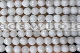 MOON27 15 inches 10mm faceted round natural white moonstone beads