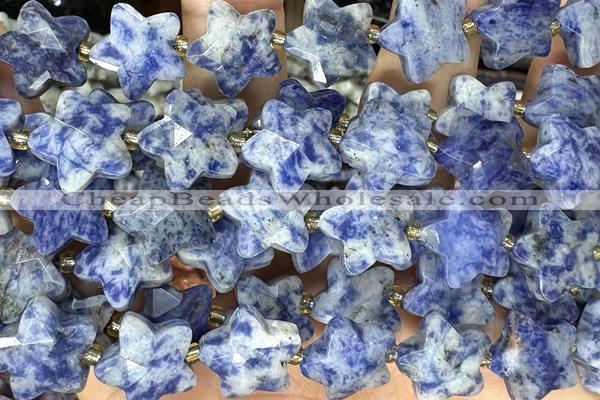 STAR56 15 inches 14mm faceted star sodalite gemstone beads