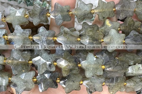 STAR60 15 inches 14mm faceted star labradorite gemstone beads